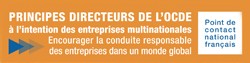 Principes Directeurs de l'OCDE à l'intention des entreprises multinationales